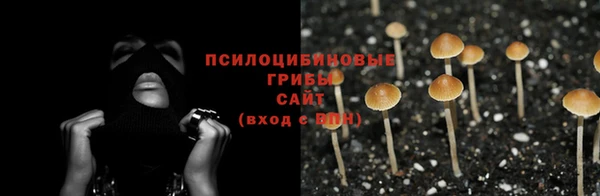 ГАЛЛЮЦИНОГЕННЫЕ ГРИБЫ Балабаново