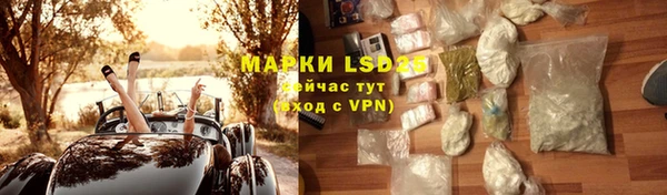 ГАЛЛЮЦИНОГЕННЫЕ ГРИБЫ Балабаново