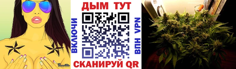 Шишки марихуана Amnesia  магазин  наркотиков  Вольск 